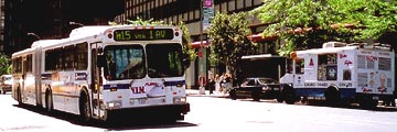 New York City Bus